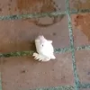 jamiehateskp