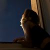 directedbyelii