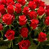 mohamadahmad258588