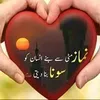 ishtiaq94