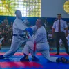 senseicarlos3