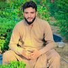 m.m.muaavia