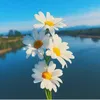 oi_thoi_roi