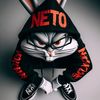 net0.pe