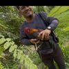 hsyukri