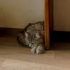 zahra_66660