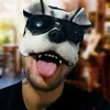 catchoro_lokoo