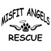 Misfit Angels