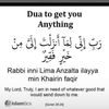 zahrarhtaannabi