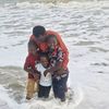 layibemassinglaye_alexis