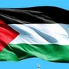 _moaz_elsayed_