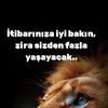 aslan.01.47