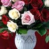 dogan_guness1