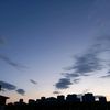 __bluenight_
