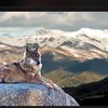 Тот самый  вайнах
