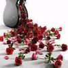 user5343612188612