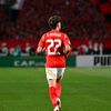 .hazem33