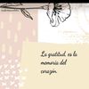 mamisdepelotero01