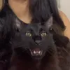 mabebooktok