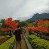 run_wijaya