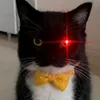 arthur_2k12