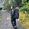 cipaulcantikk
