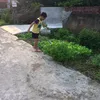 nguyn.nht.qung1