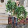 the.plant.porch.mn