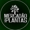 mercadaodasplantas