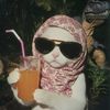 epic_girl_cat