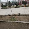 abu_3434