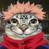 christhianxd8