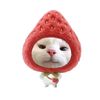 twpawsya
