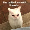 may_rss