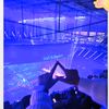 loliiteacup_
