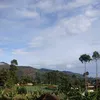 diaryjinga