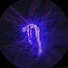 kaizxn...1