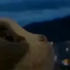 rrrrrrrrrrrnnnnnnnnn