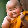 bodong_bodong71