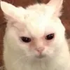 thatweirdkidnamedlexi