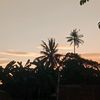 kiaa_3300