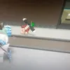 uiwywhwtwuwwhhw