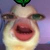 iiiiluvv_raaa