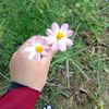 amar1184