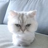 userbrfcxy8scb