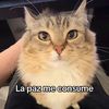 sam.mmxi