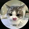 laeyy.affilate