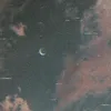 mun1901