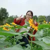 thuhong13014