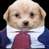 frostyraccoon6